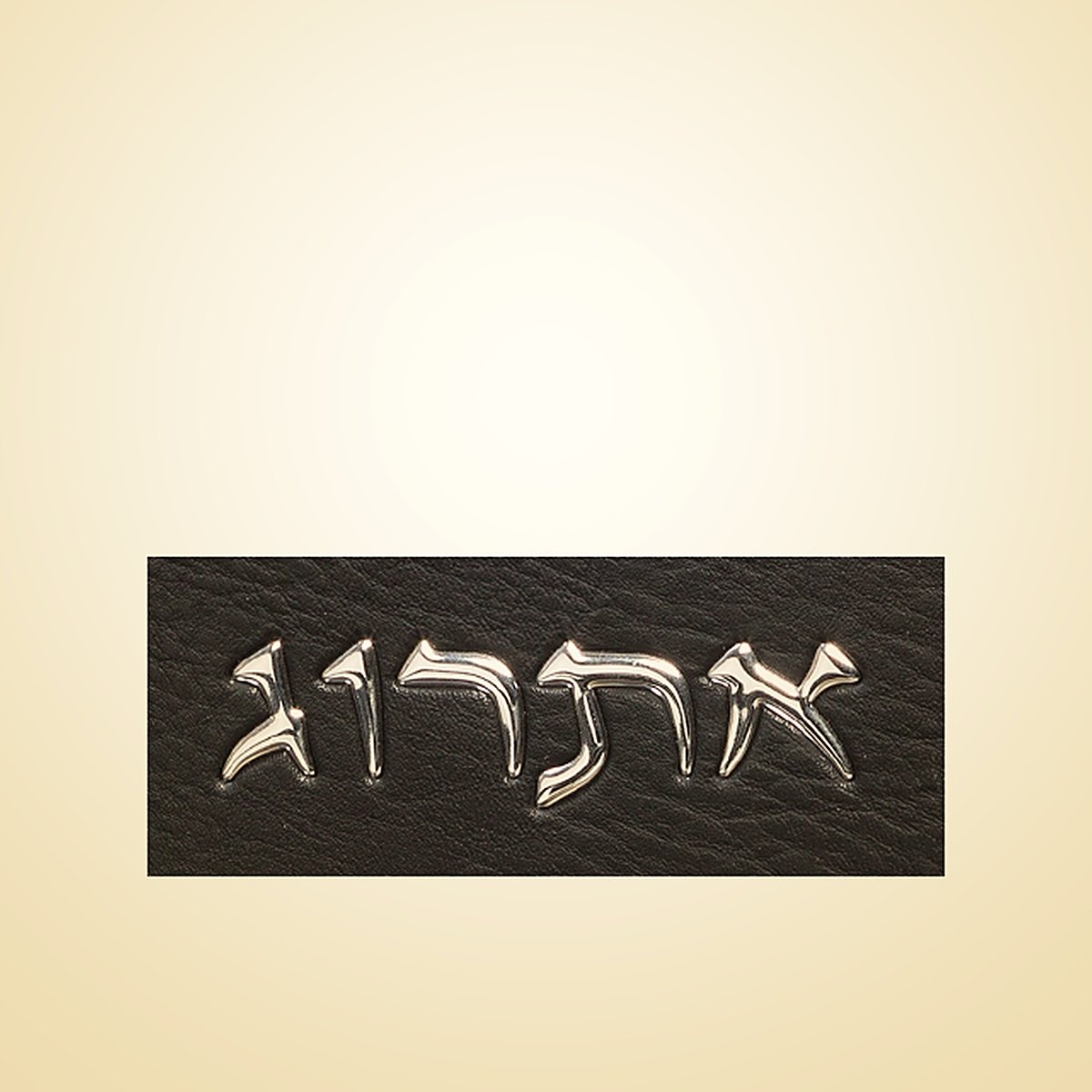 תיק מבודד לאתרוג, דמוי עור שחור עם כיתוב ״אתרוג״ בולט, 11×19 ס״מ, תמונת המחשה